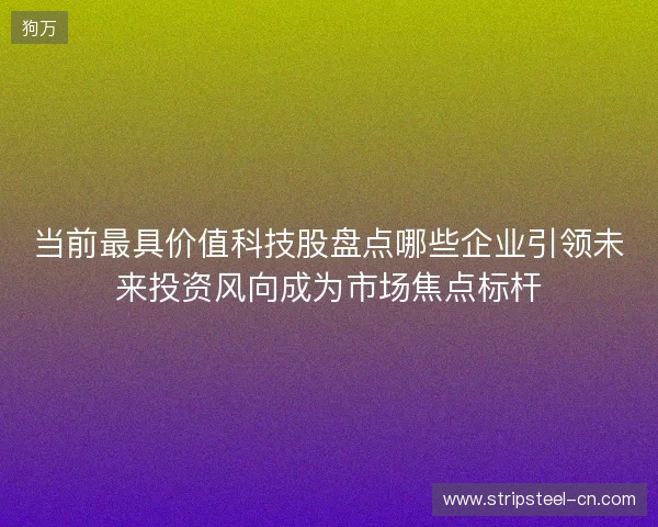 当前最具价值科技股盘点哪些企业引领未来投资风向成为市场焦点标杆